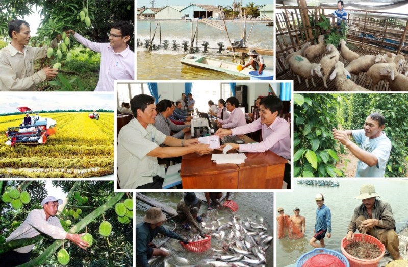 Chương trình hành động quốc gia “Không còn nạn đói ở Việt Nam đến năm 2025” trên địa bàn tỉnh Đắk Lắk